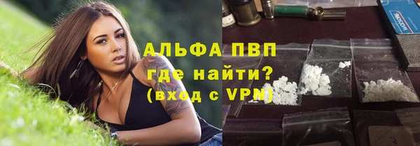 ГАЛЛЮЦИНОГЕННЫЕ ГРИБЫ Заволжье