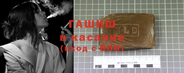 молекула духа Ельня