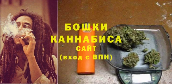 ГАЛЛЮЦИНОГЕННЫЕ ГРИБЫ Заволжье