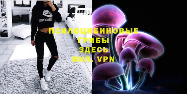 ГАЛЛЮЦИНОГЕННЫЕ ГРИБЫ Заволжье
