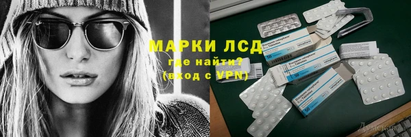 ГАЛЛЮЦИНОГЕННЫЕ ГРИБЫ Заволжье