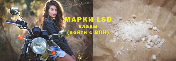 ГАЛЛЮЦИНОГЕННЫЕ ГРИБЫ Заволжье