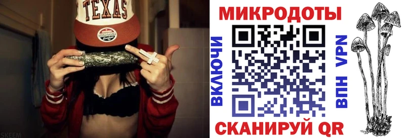 kraken как войти  Юрюзань  Псилоцибиновые грибы мицелий 